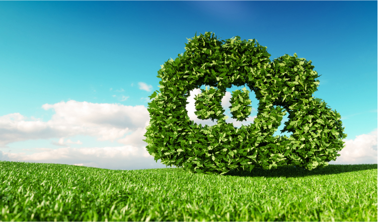 CO2 ゼロプラン(CO2 排出量低減)